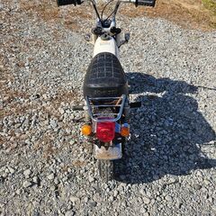 引取希望　モンキー　4L　実働の画像