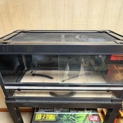 爬虫類ケージの画像