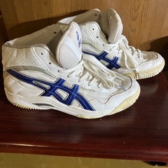 アシックスTBF617 26.5cmの画像