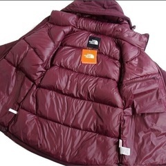   	値下げしました THE NORTH FACE ザ・ノース・フェイス定価3.4万  PREMIUM GOOS DOWN使用 パッカブル フーデッド ダウンジャケット G81 DPV の画像