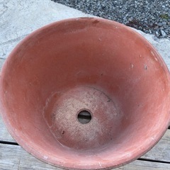 鉢（複数あり）の画像