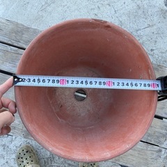 鉢（複数あり）の画像