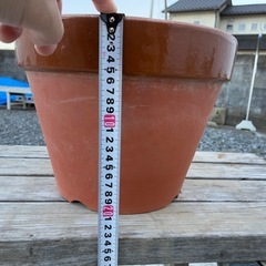 鉢（複数あり）の画像