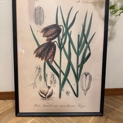 ポスター用額縁　2セットの画像