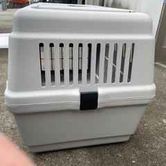 決まりました。アイリスオーヤマトラベルキャリーの画像