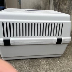 決まりました。アイリスオーヤマトラベルキャリーの画像