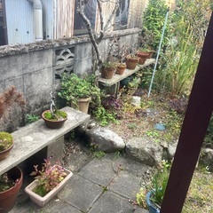 植木鉢ご自由にどうぞの画像