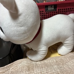 銀魂　定春の画像