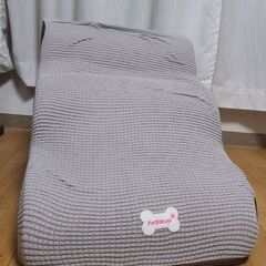 ペット用ドッグスロープの画像