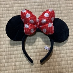 ディズニー満喫セットの画像