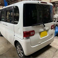 タント‼️の画像