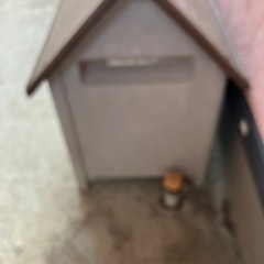 犬小屋の画像