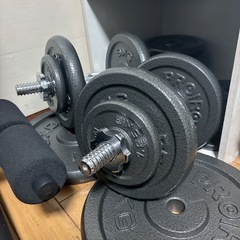 鉄ダンベル 20Kg 
の画像