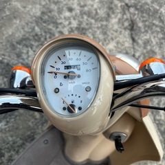 スクーピーエイジング
カスタムの画像