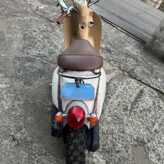 スクーピーエイジング
カスタムの画像