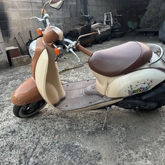 スクーピーエイジング
カスタムの画像