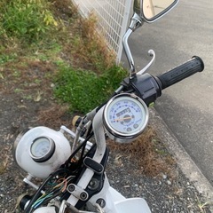 スズキモレット快速！！の画像