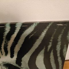 IKEA しまうまのキャンバスの画像