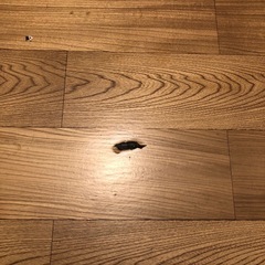 折りたたみ簡易テーブルの画像