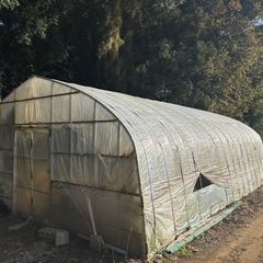 ビニールハウス　農業　野菜の画像