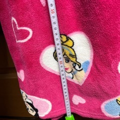 ディズニープリンセス ガウン 130cm おまけ付き
の画像