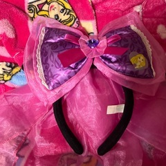 ディズニープリンセス ガウン 130cm おまけ付き
の画像