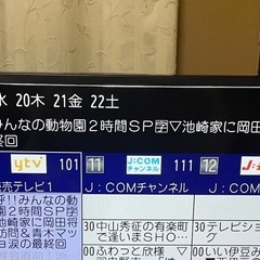 【無料】Hisense テレビの画像