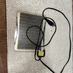 レッドローチ&おまけ（みるわーむミルワーム）の画像