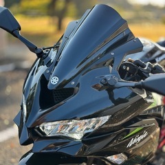 Kawasaki Ninja ZX25R SE 低走行 カスタム多数！の画像