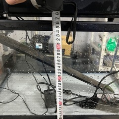 水槽60センチ　GEXフルセットの画像
