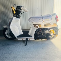 ホンダスカッシュ
の画像