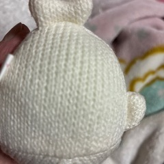 ごまあざらしの画像