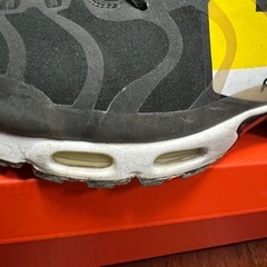 エアマックスプラスの画像