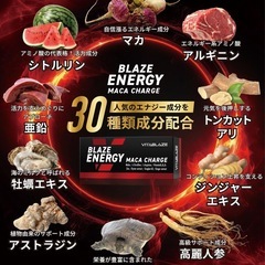BLAZE ENERGY マカ チャージ 30日分 亜鉛 シトルリン アルギニン トンカットアリ 高麗人参 牡蠣エキス の画像