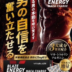 BLAZE ENERGY マカ チャージ 30日分 亜鉛 シトルリン アルギニン トンカットアリ 高麗人参 牡蠣エキス の画像