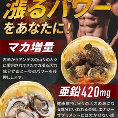 BLAZE ENERGY マカ チャージ 30日分 亜鉛 シトルリン アルギニン トンカットアリ 高麗人参 牡蠣エキス の画像
