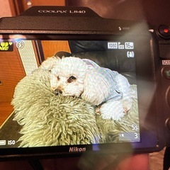 COOLPIX L840の画像