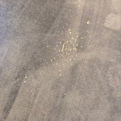 カーペットの画像