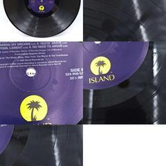 LP THE CRANBERRIES No Need To Argue ILPS 8029 UKオリジナル クランベリーズ ノー・ニード・トゥ・アーギュの画像