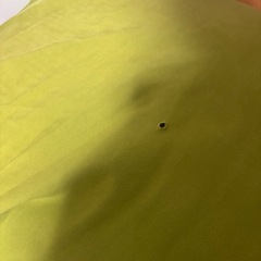 Yogibo ヨギボーの画像