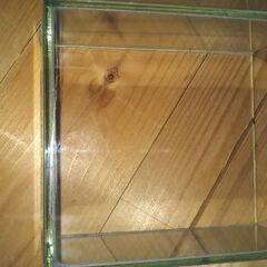 ★ベタ飼育ガラスケース2個★の画像