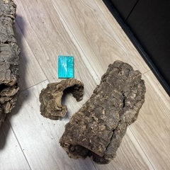 カーボンの画像