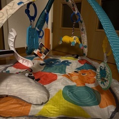 プレイジムの画像