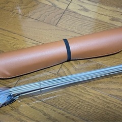 テンレストングの画像