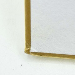 3618 海野ゆかり選手 直筆サイン色紙  写真付 競艇 ボートレースの画像