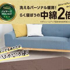 NAFCO 洗える電気ごろ寝マット【新品未使用】の画像