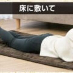 NAFCO 洗える電気ごろ寝マット【新品未使用】の画像