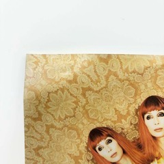 12 LP レコード 12 Cher Strong Enoughの画像