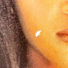 14 LP レコード 2枚組 Sonya True Loveの画像