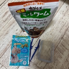 ハリネズミ　飼育セット　ゲージの画像